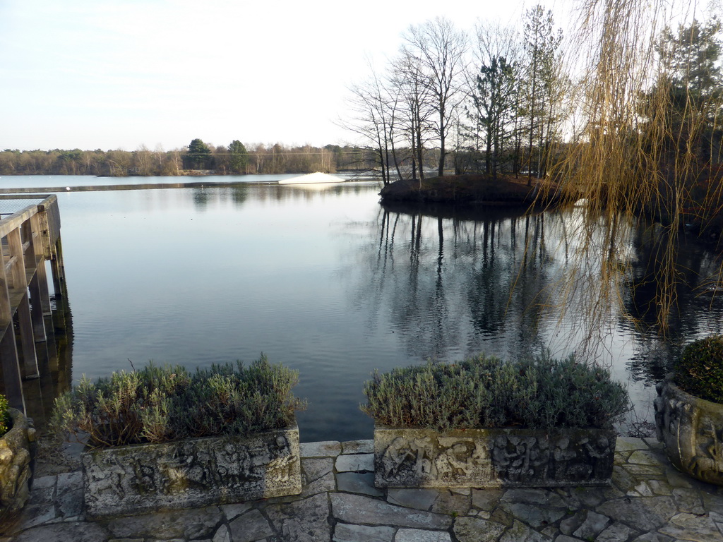 West side of the main lake of the Center Parcs Kempervennen holiday park, viewed from outside the Market Dome