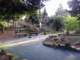 Road and Mini Golf track at the Center Parcs Kempervennen holiday park