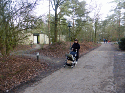 Miaomiao with Max in a trolley on a road at the Center Parcs Kempervennen holiday park