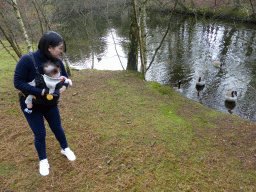 Miaomiao and Max and geese in the garden at the back side of our holiday home at the Center Parcs Kempervennen holiday park