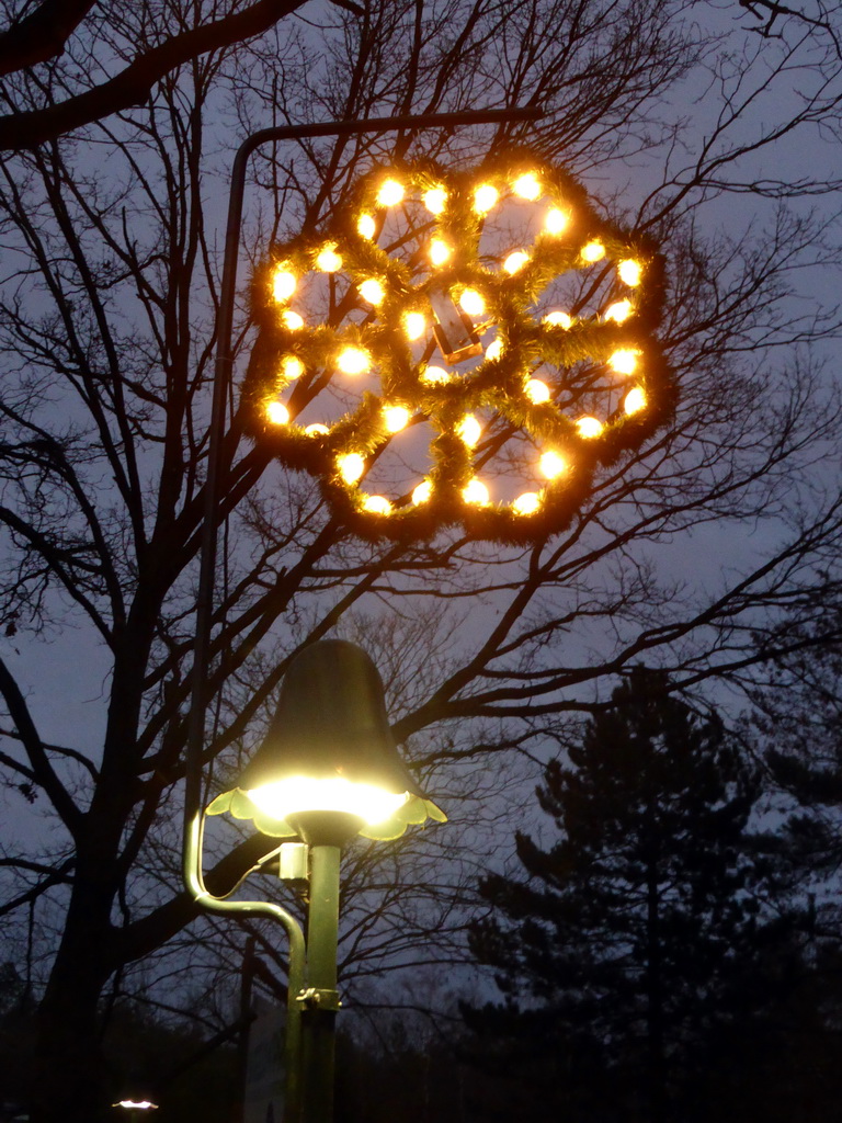 Street lantern with decoration lights at a road at the Center Parcs Kempervennen holiday park, at sunset