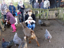 Tim and Max with goats and chickens at the Petting Zoo at the Center Parcs Kempervennen holiday park