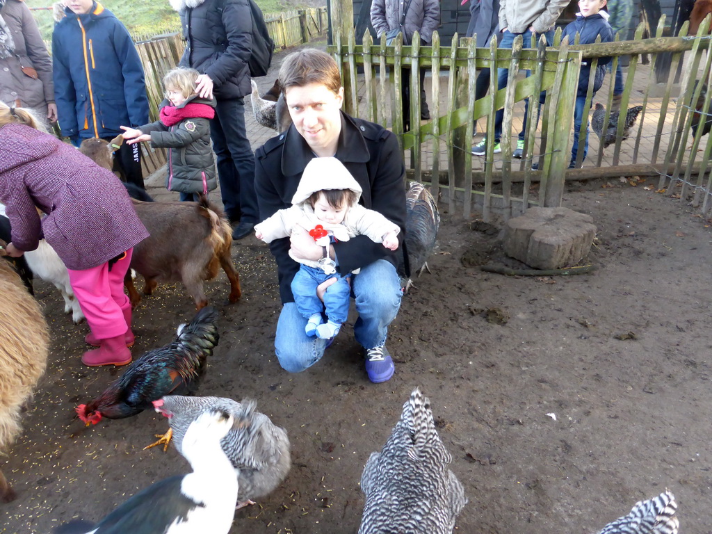 Tim and Max with goats and chickens at the Petting Zoo at the Center Parcs Kempervennen holiday park