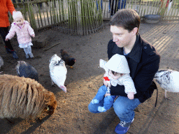 Tim and Max with chickens, turkeys and a sheep at the Petting Zoo at the Center Parcs Kempervennen holiday park