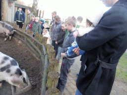 Tim and Max with pigs at the Petting Zoo at the Center Parcs Kempervennen holiday park