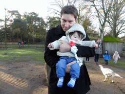 Tim and Max with turkey at the Petting Zoo at the Center Parcs Kempervennen holiday park