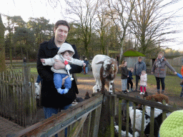 Tim and Max with a goat on a fence at the Petting Zoo at the Center Parcs Kempervennen holiday park