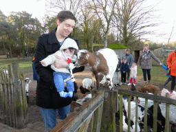 Tim and Max with a goat on a fence at the Petting Zoo at the Center Parcs Kempervennen holiday park