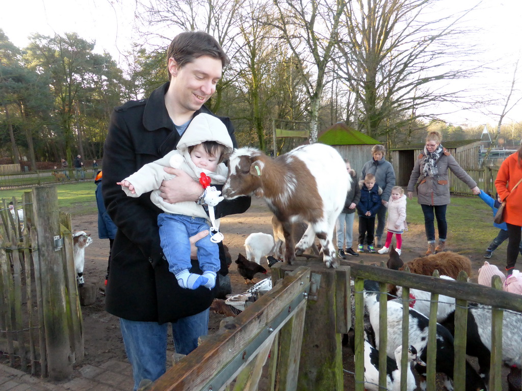 Tim and Max with a goat on a fence at the Petting Zoo at the Center Parcs Kempervennen holiday park