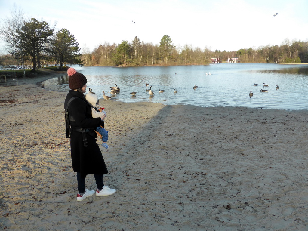 Miaomiao and Max with geese at the south side of the beach at the Center Parcs Kempervennen holiday park