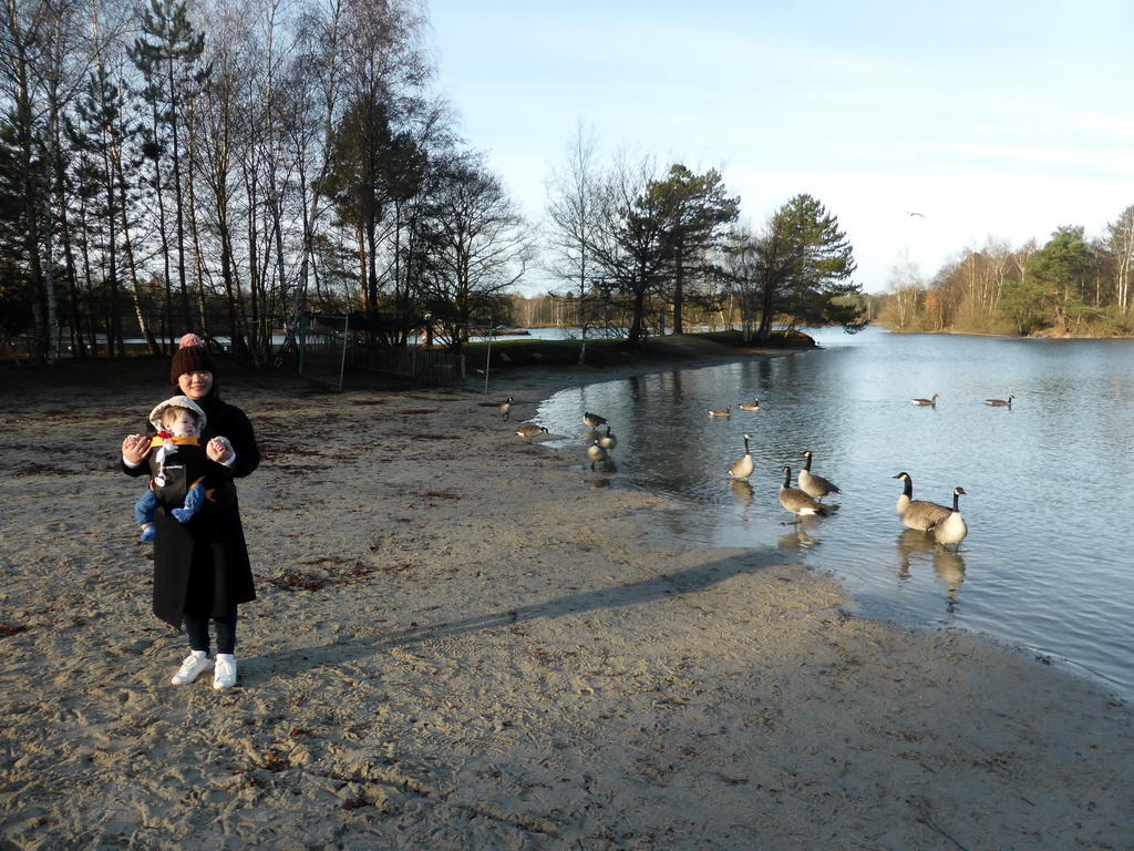Miaomiao and Max with geese at the south side of the beach at the Center Parcs Kempervennen holiday park