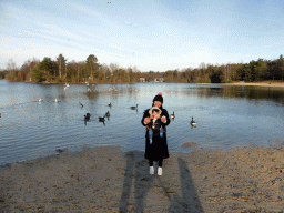 Miaomiao and Max with geese and seagalls at the south side of the beach at the Center Parcs Kempervennen holiday park