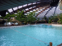 Interior of the Aqua Mundo swimming pool of the Center Parcs Kempervennen holiday park