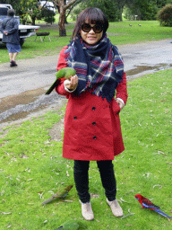 Miaomiao with Australian king parrots at the Kennett River Holiday Park