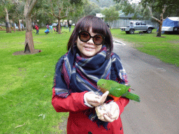 Miaomiao with an Australian king parrot at the Kennett River Holiday Park