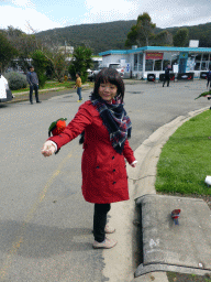 Miaomiao with an Australian king parrot at the Kennett River Holiday Park