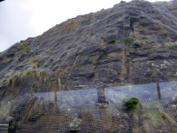 Rocks kept together by a net near Cape Patton, viewed from our tour bus on the Great Ocean Road