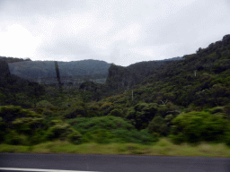 Forested hills near Cape Patton, viewed from our tour bus on the Great Ocean Road