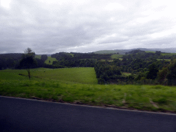 Grasslands with sheep and forests near Apollo Bay, viewed from our tour bus on the Great Ocean Road