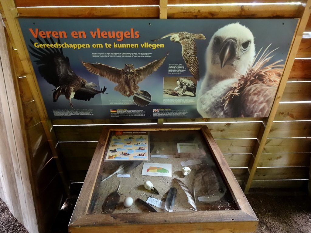 Information on feathers and wings at the SchUILhut area at the Taiga area at the GaiaZOO