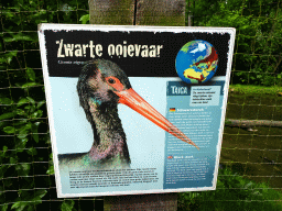 Explanation on the Black Stork at the SchUILhut area at the Taiga area at the GaiaZOO