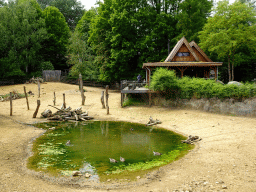 The TaigaLodge at the Taiga area at the GaiaZOO