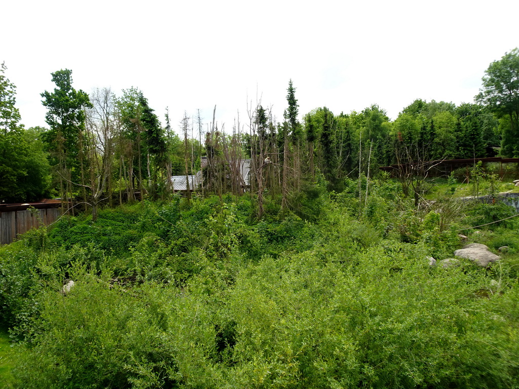 Barbary Macaque enclosure at the Taiga area at the GaiaZOO, viewed from the viewing platform