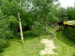 Lynx enclosure at the Taiga area at the GaiaZOO, viewed from the viewing platform
