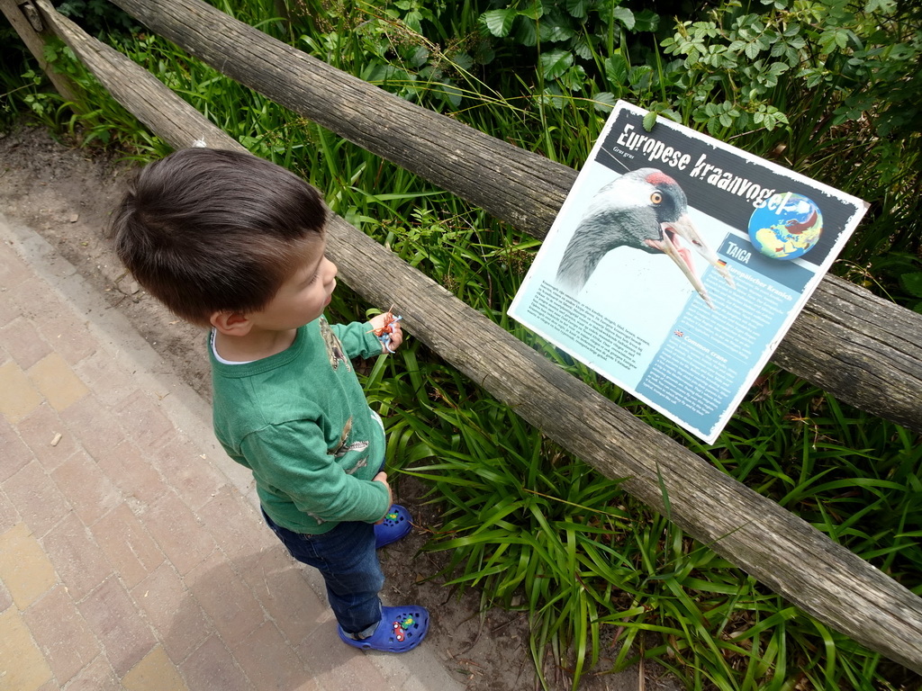 Max with an explanation on the Common Crane at the Taiga area at the GaiaZOO