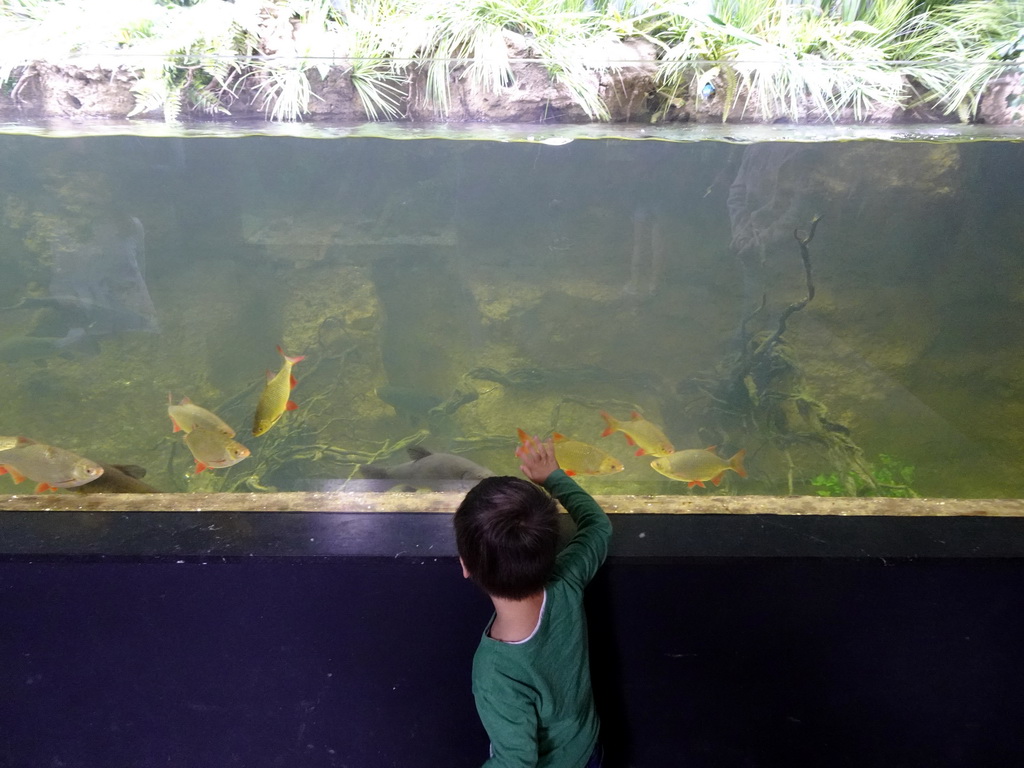 Max with fish at the Taiga area at the GaiaZOO