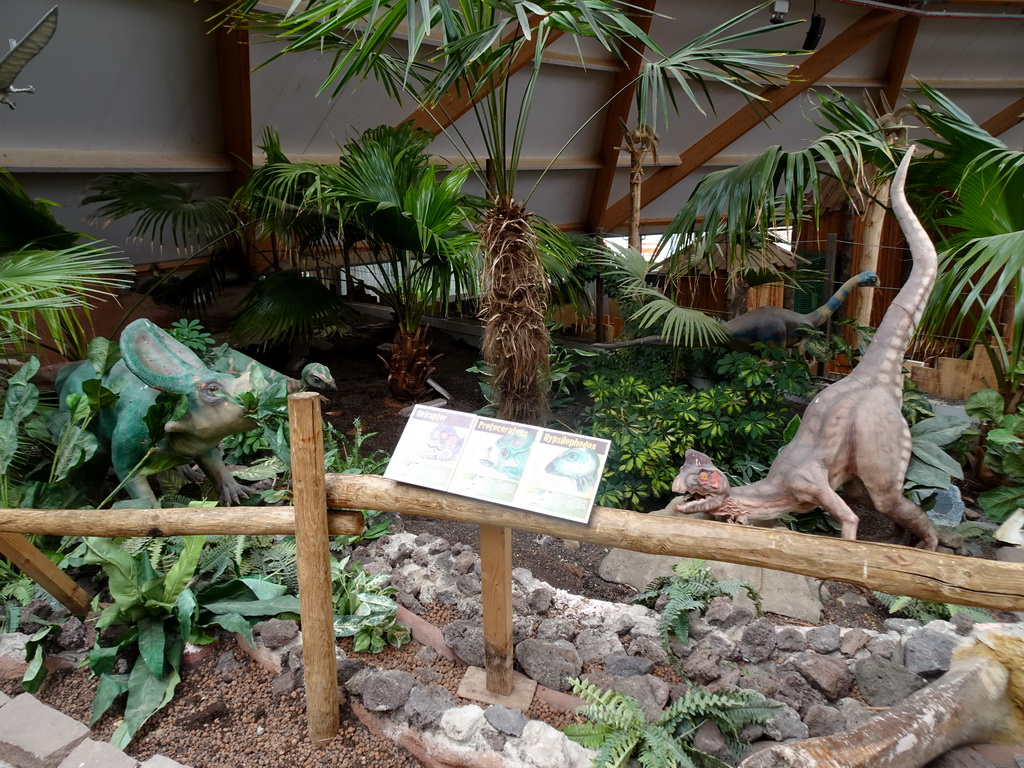 Statues of a Protoceratops, a Hypsilophodon and an Oviraptor at the DinoDome at the Limburg area at the GaiaZOO, with explanation