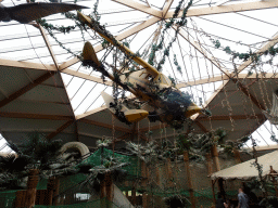 Airplane hanging from the ceiling at the DinoDome at the Limburg area at the GaiaZOO