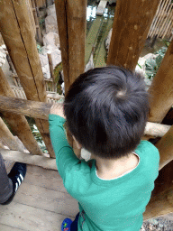 Max at the DinoDome at the Limburg area at the GaiaZOO