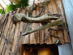 Crocodile skull at the DinoDome at the Limburg area at the GaiaZOO