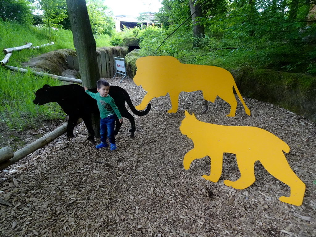 Max with cardboards of Lion, a Cheetah and a Lynx, at the Savanna area at the GaiaZOO