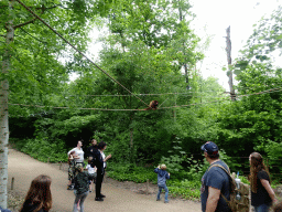 Howler Monkey at the Rainforest area at the GaiaZOO