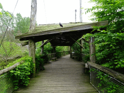 Walkway at the Aviary at the Rainforest area at the GaiaZOO