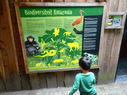 Max with information on biodiversity in Amazonia at the Rainforest area at the GaiaZOO