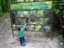 Max playing Rainforest Memory at the Rainforest area at the GaiaZOO