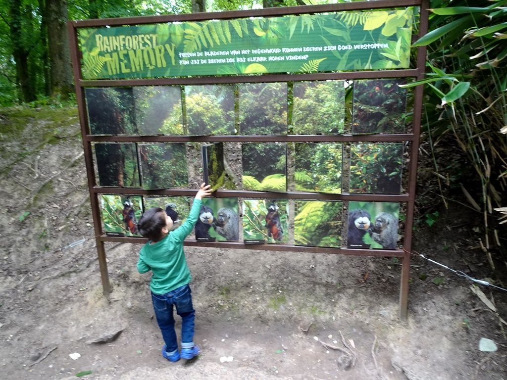 Max playing Rainforest Memory at the Rainforest area at the GaiaZOO