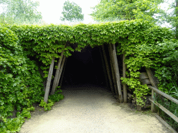 Tunnel at the Rainforest area at the GaiaZOO