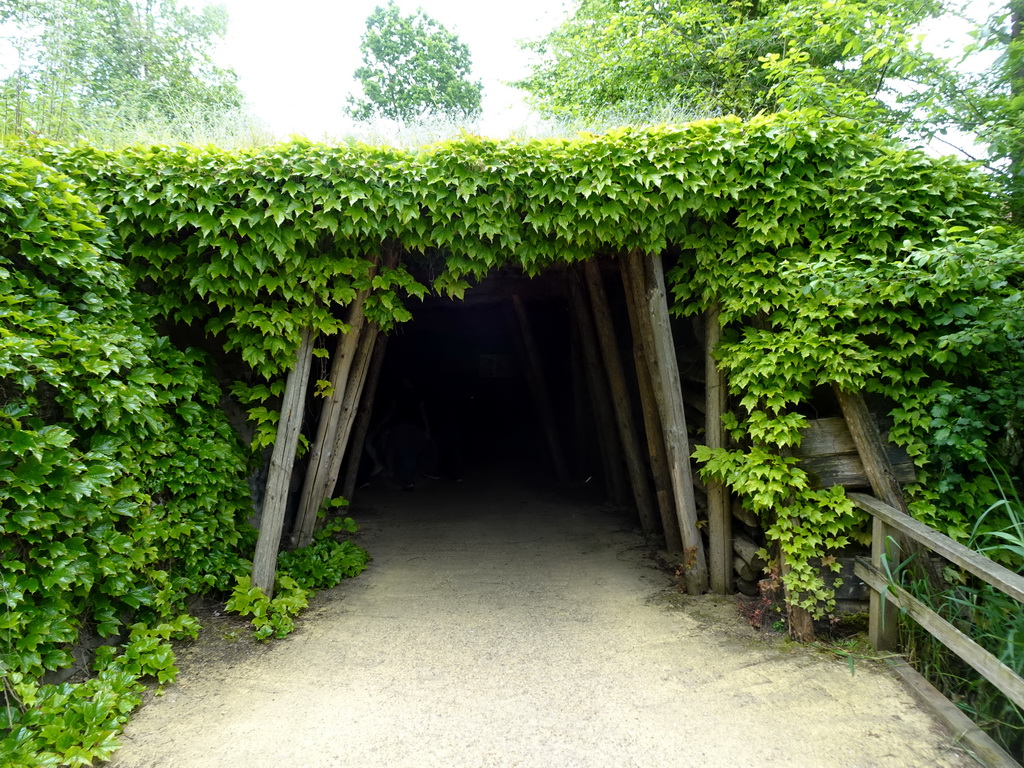 Tunnel at the Rainforest area at the GaiaZOO