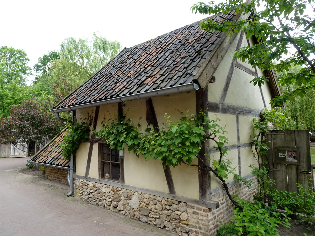 Building at the petting zoo at the Limburg area at the GaiaZOO