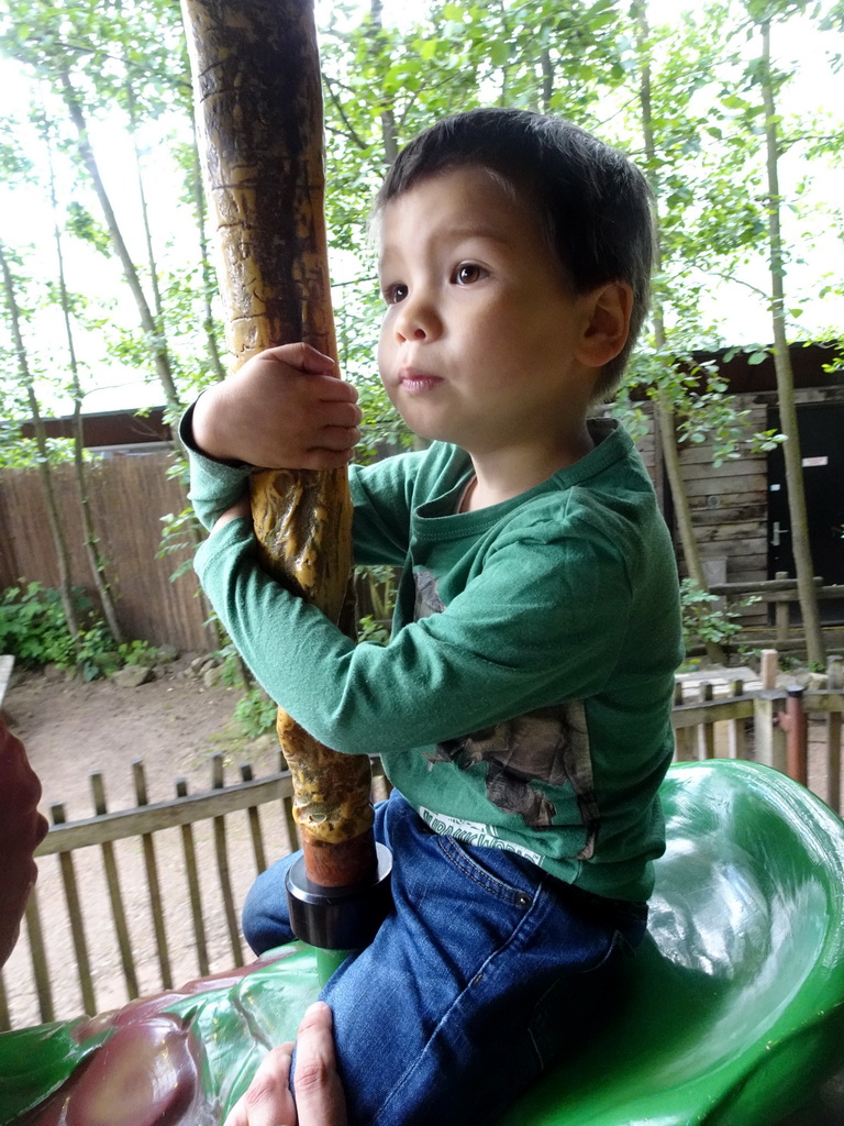 Max at the Dino Carousel at the Limburg area at the GaiaZOO