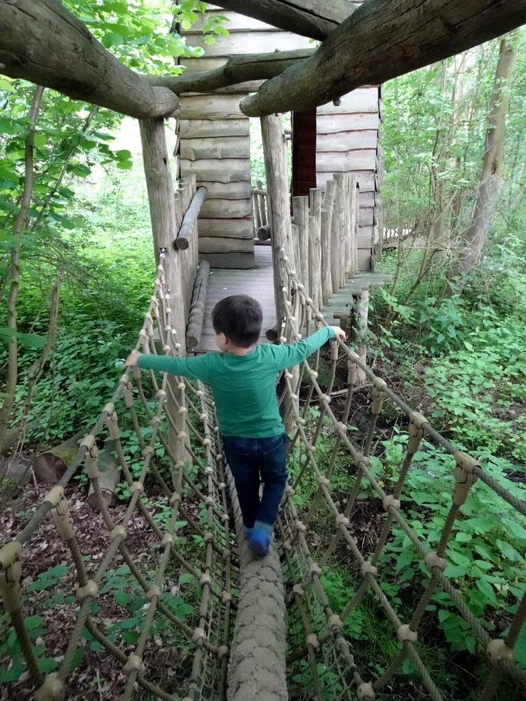 Max on a rope bridge at the JungleTour playground at the Limburg area at the GaiaZOO