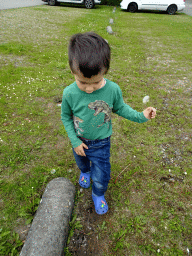 Max with a Dandelion at the parking lot of the GaiaZOO