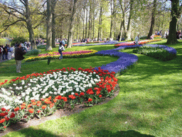 Flowers in a grassland and the central lake of the Keukenhof park