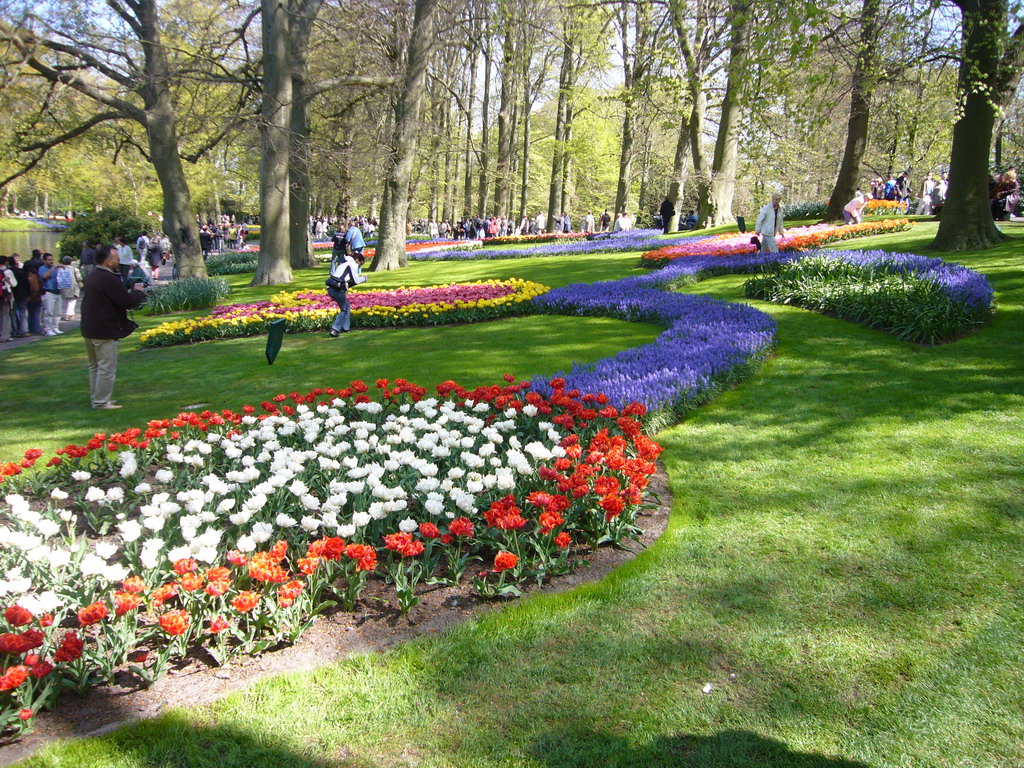 Flowers in a grassland and the central lake of the Keukenhof park