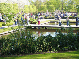 Bridge over a pool near the Oranje Nassau pavilion at the Keukenhof park