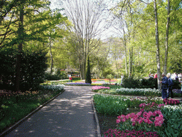 Trees and flowers near the central lake of the Keukenhof park